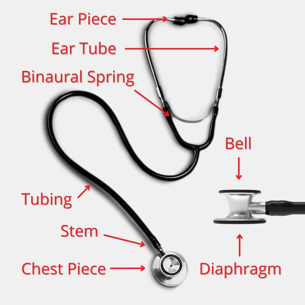 What Are The Parts Of A Stethoscope Stethoscopesweb